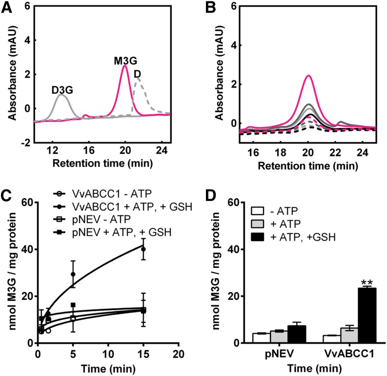 Figure 4.