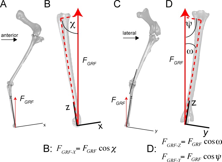 Fig 16