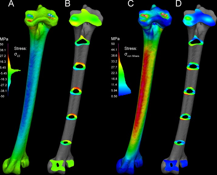 Fig 12