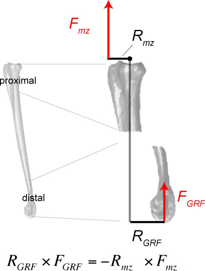 Fig 17