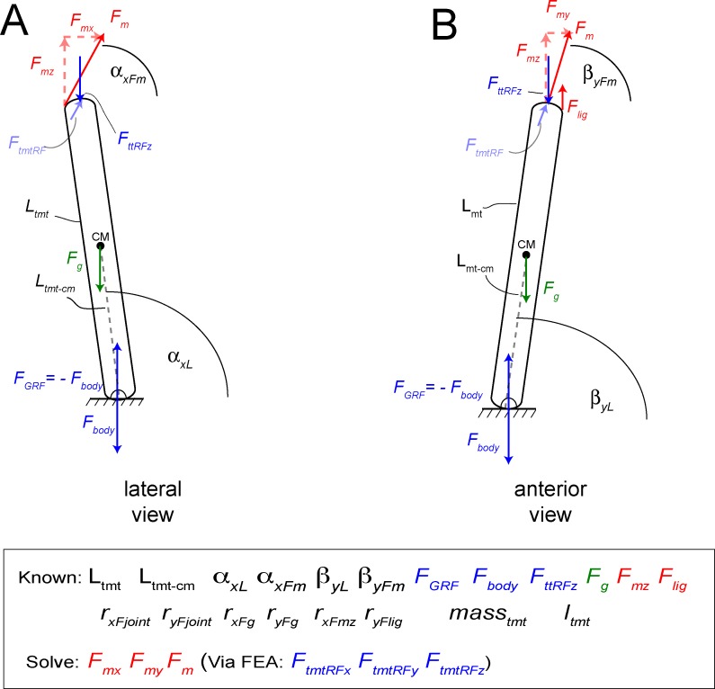 Fig 18