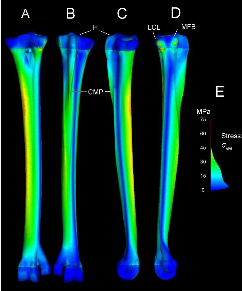 Fig 13