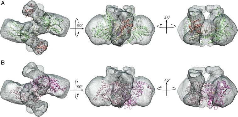 Fig. 4.