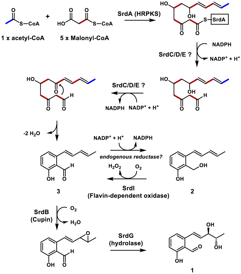 Figure 3.