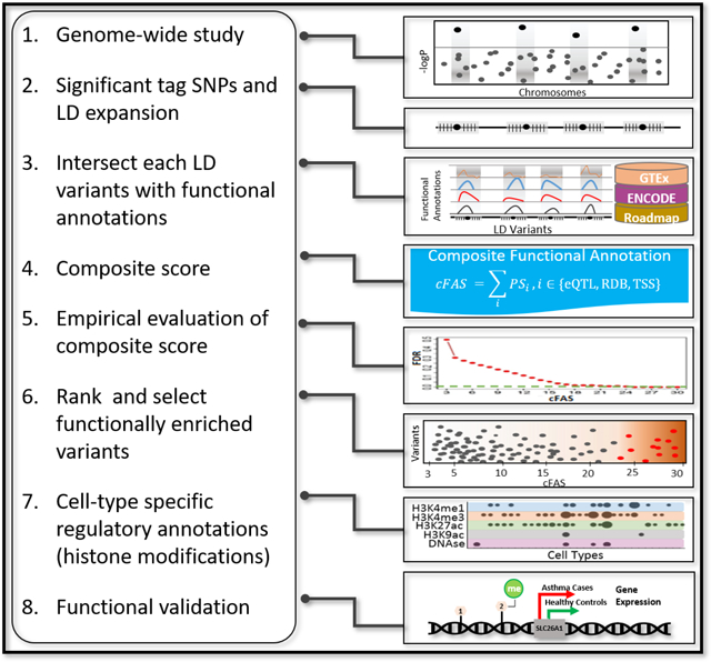 graphic file with name nihms-1590656-f0001.jpg