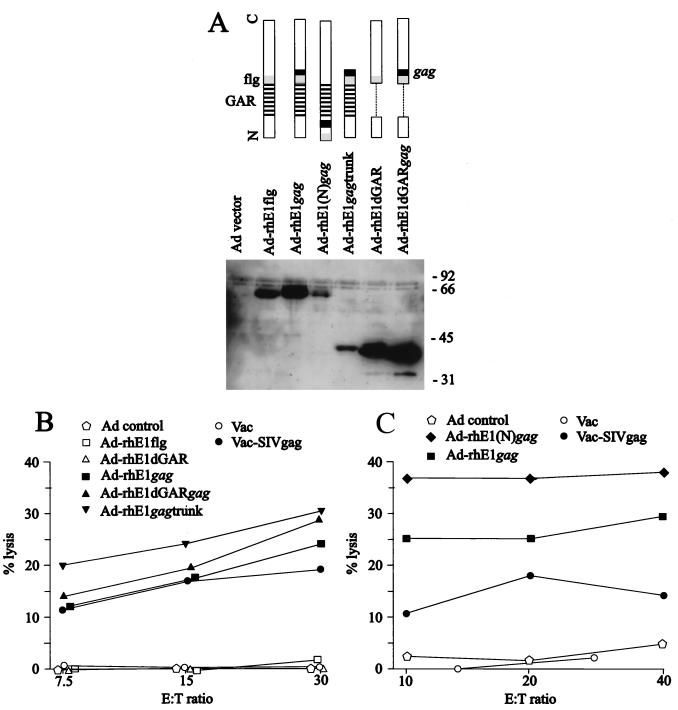 FIG. 6