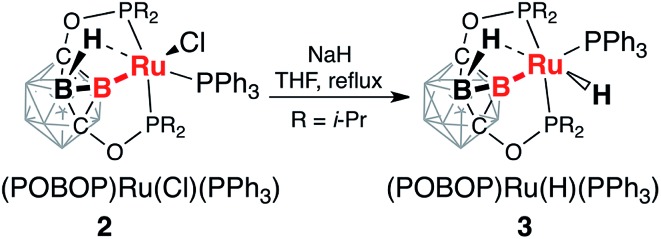 Scheme 2