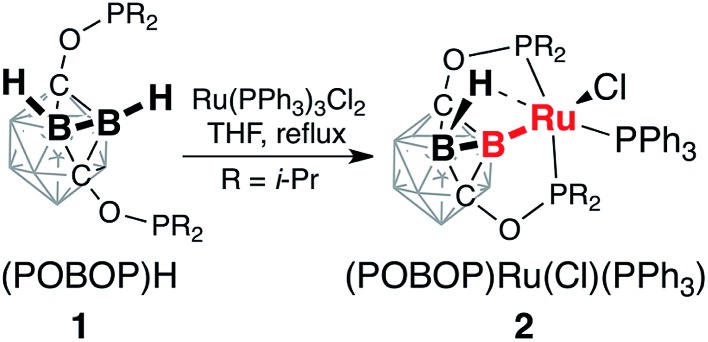 Scheme 1