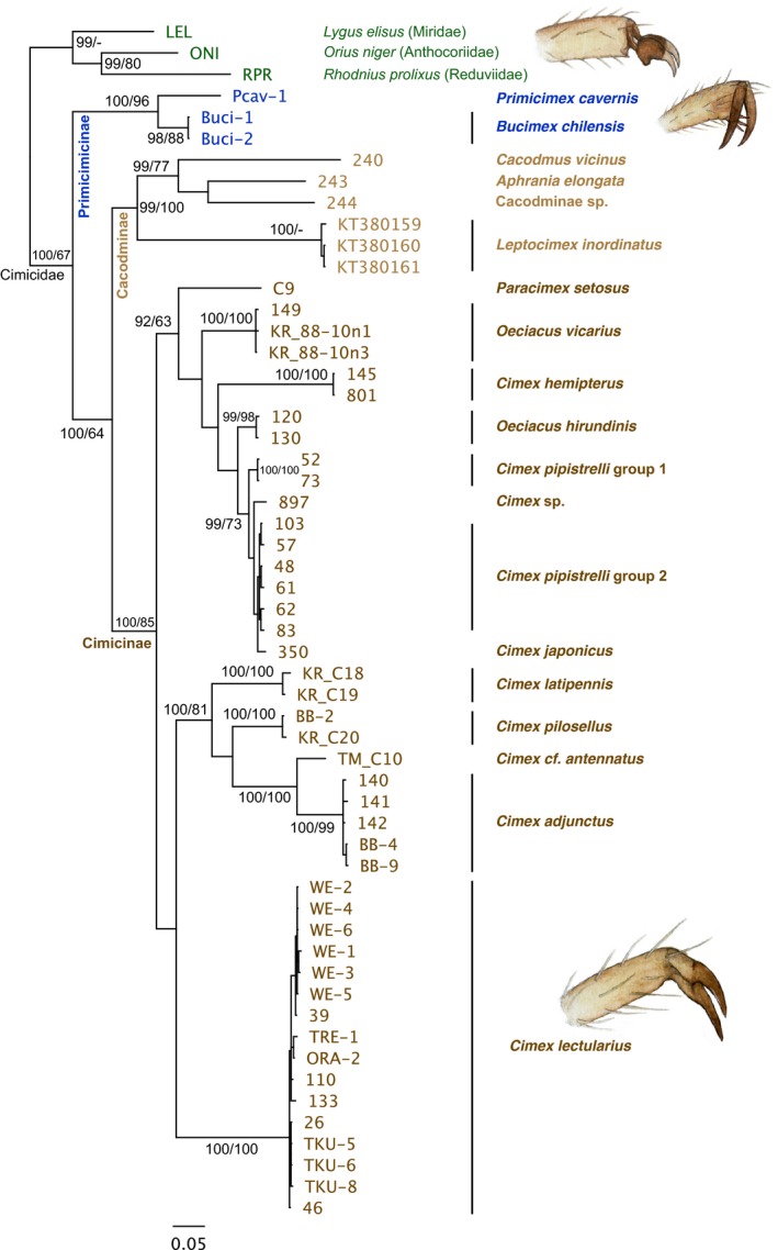 Figure 6