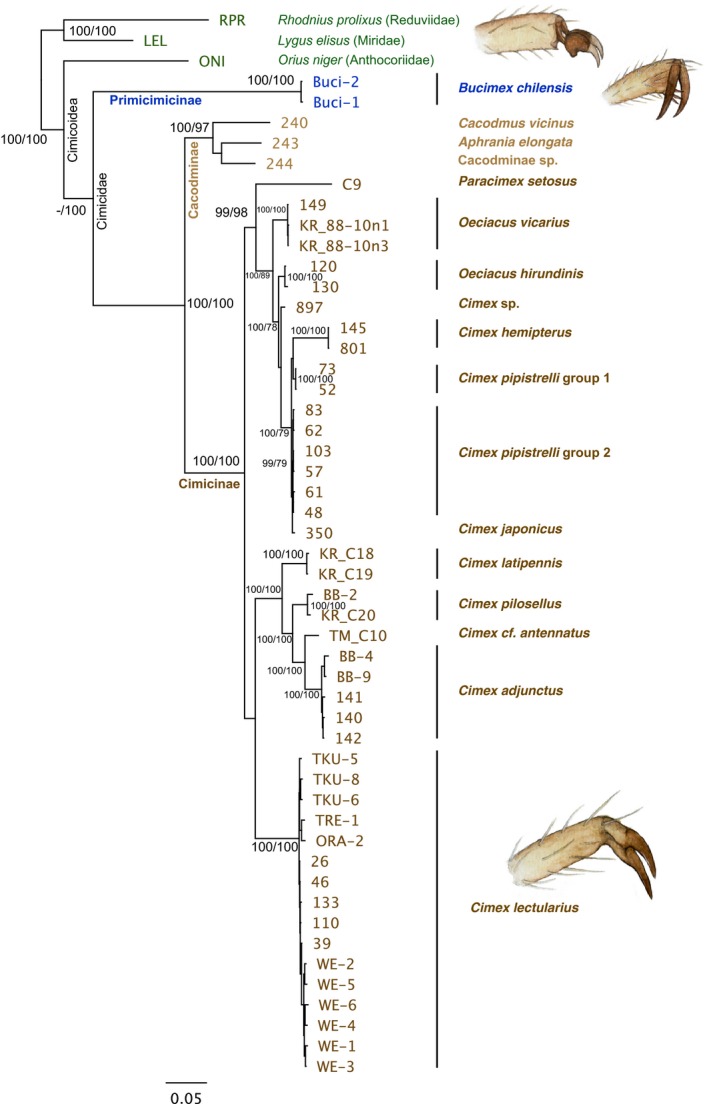 Figure 5