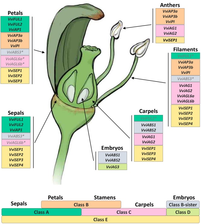 FIGURE 9