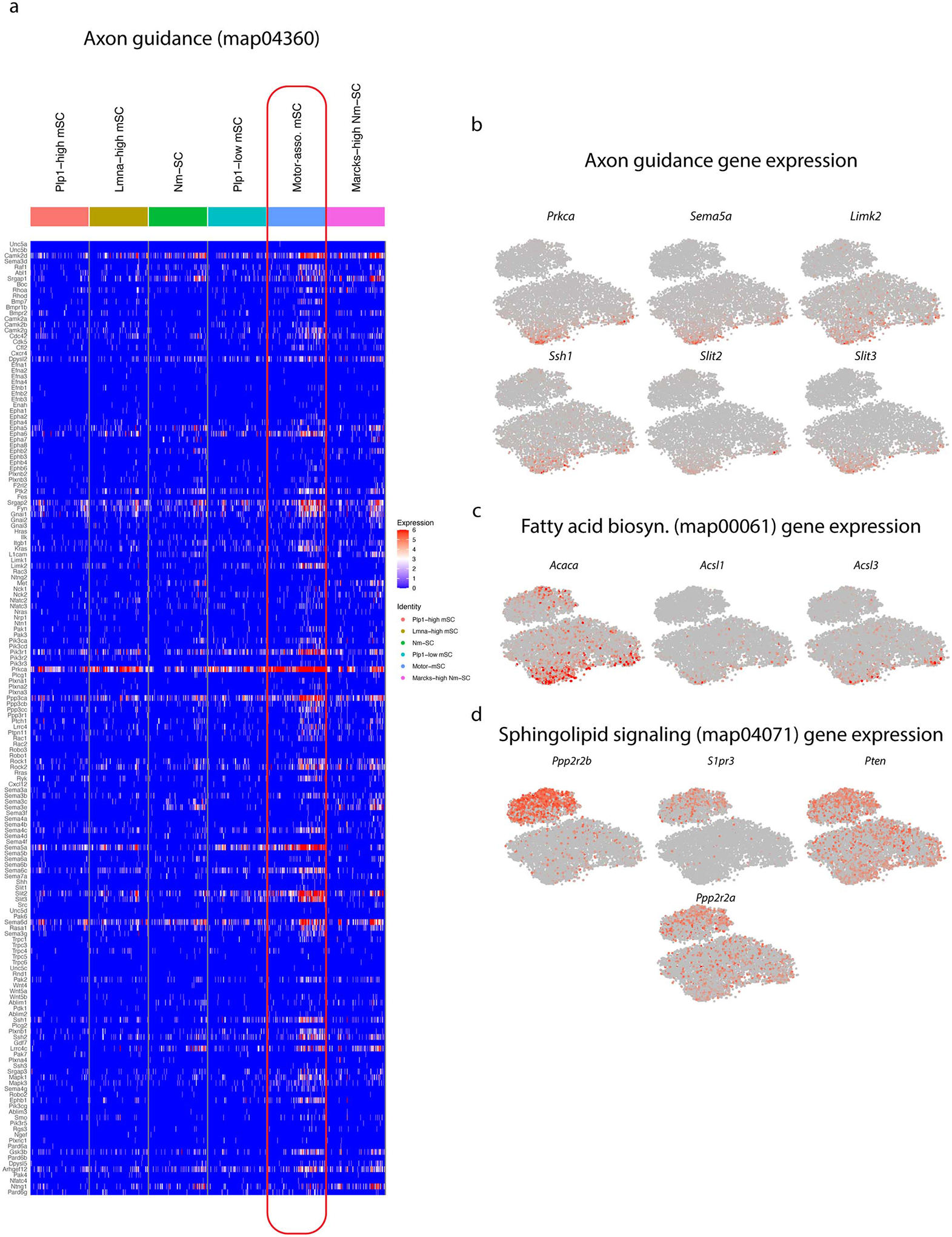 Extended Data Fig. 3