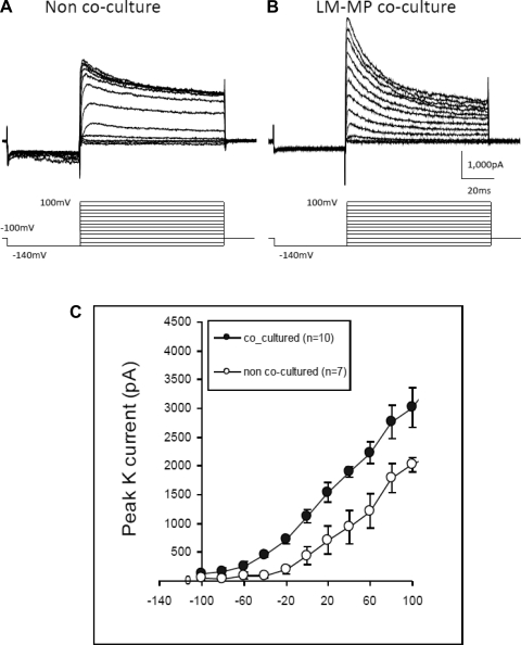 Fig. 8.