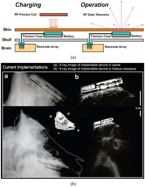 Fig. 15