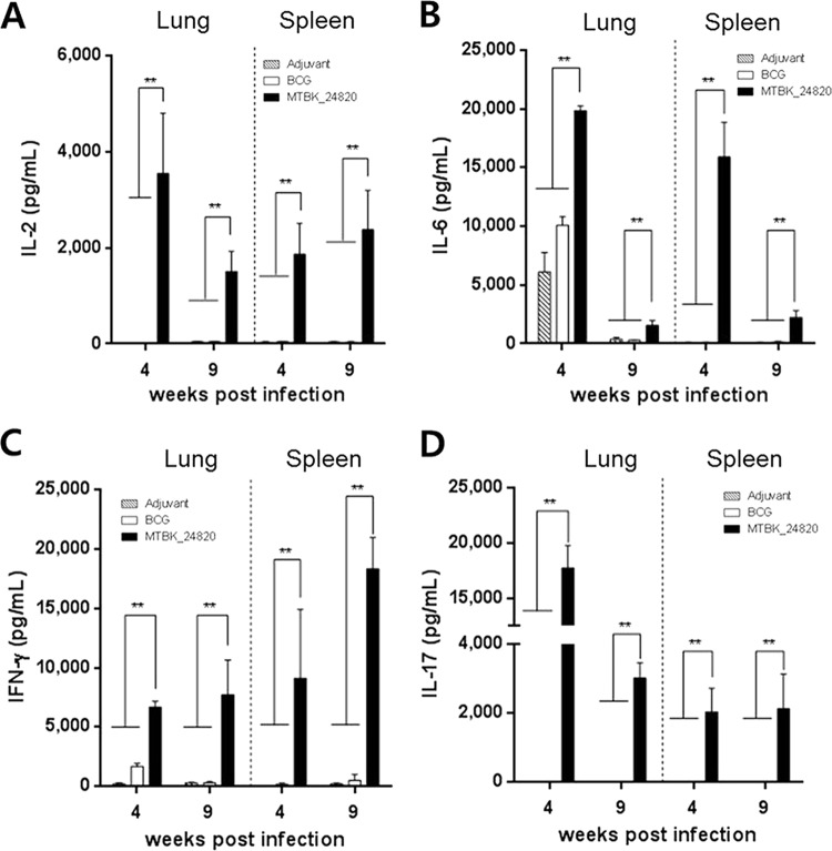 FIG 3