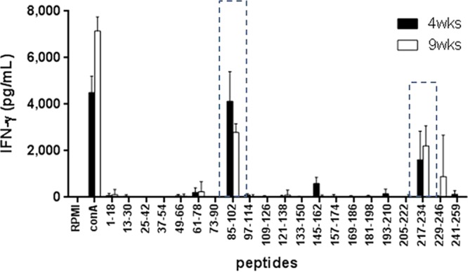 FIG 6