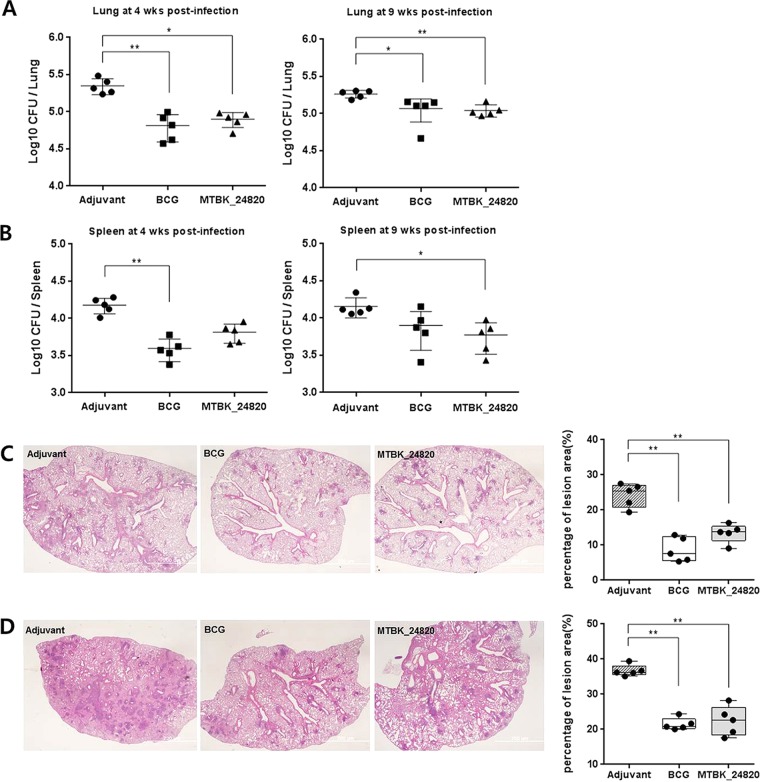 FIG 2