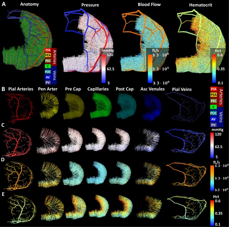 Fig 6