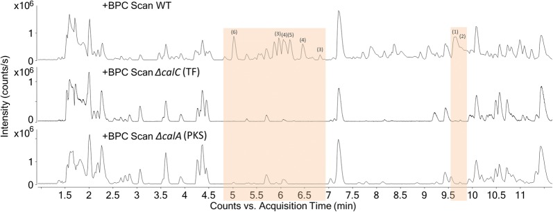 Fig. 4