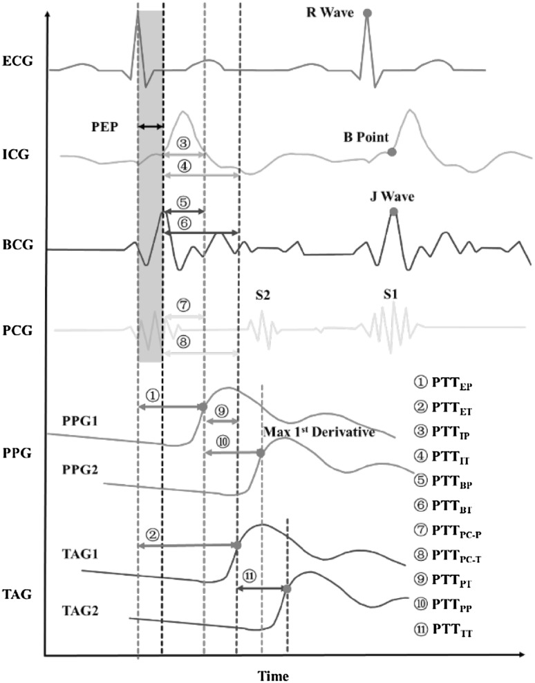 Fig. 5