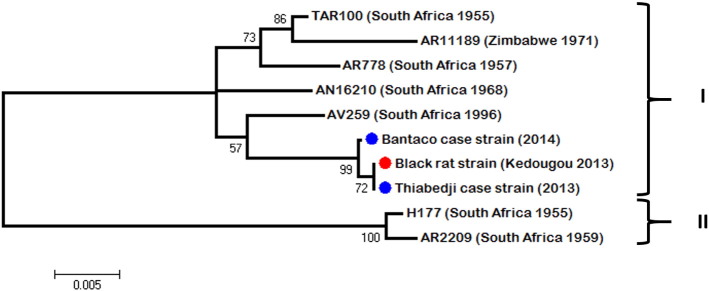 Fig. 3