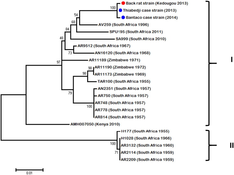 Fig. 2