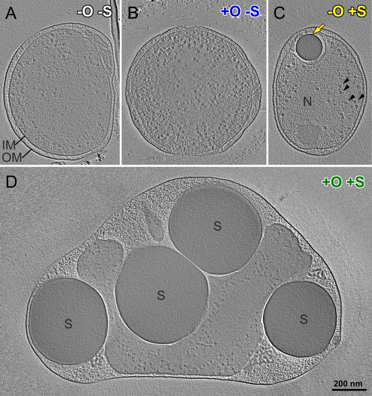 FIG 2