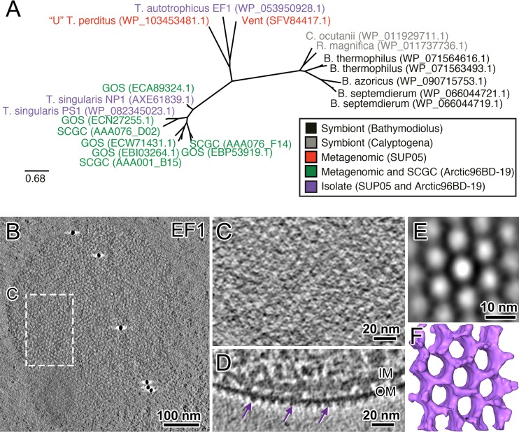 FIG 3