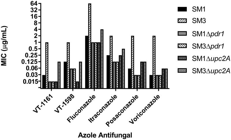 FIG 2