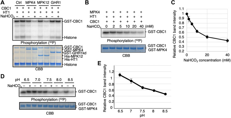 Fig. 2.