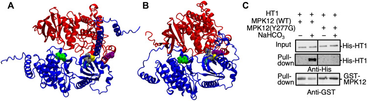 Fig. 6.