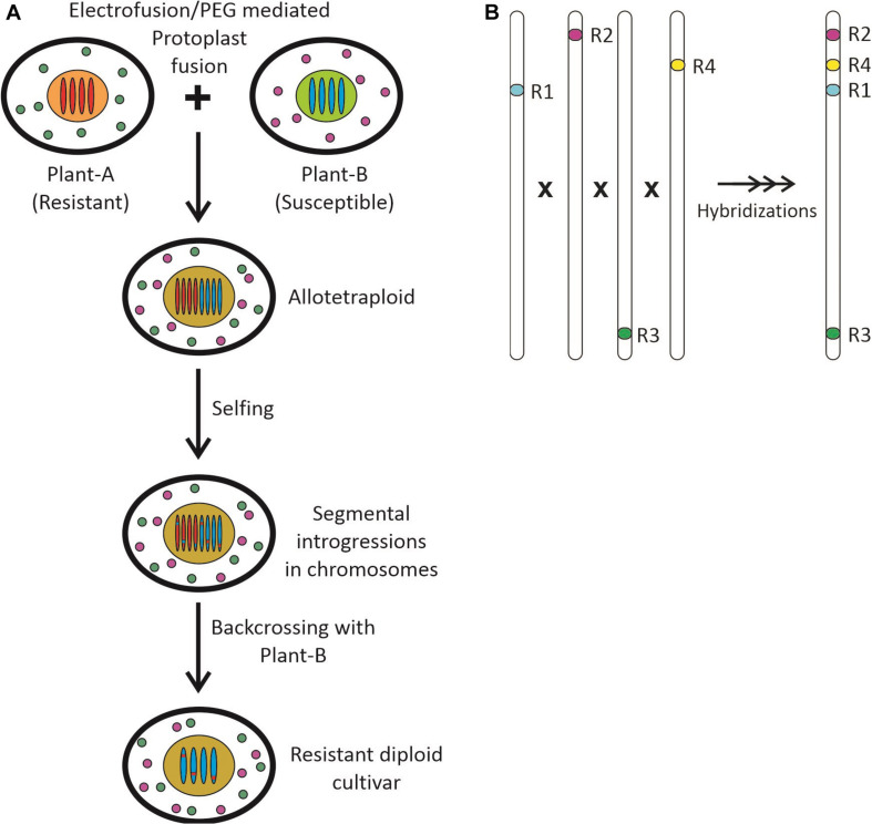 FIGURE 2