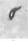 536-1