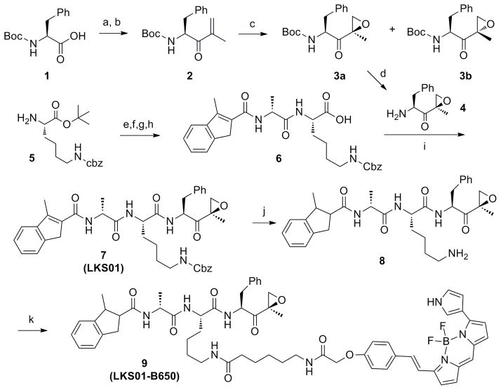 Scheme 1