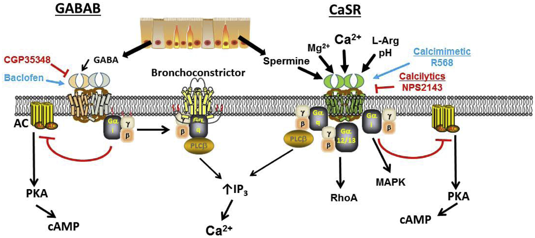 Figure 3: