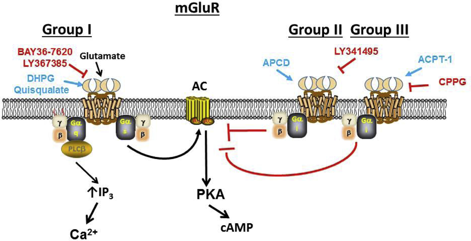 Figure 4: