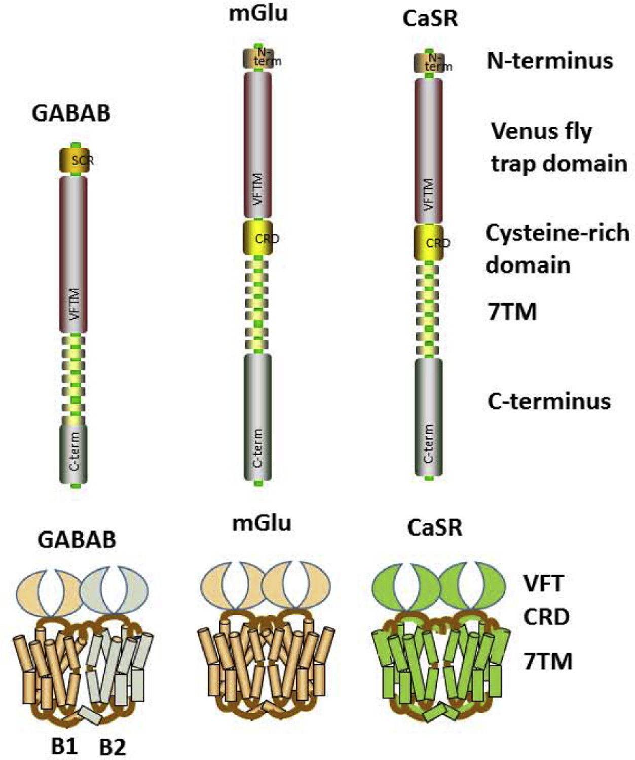 Figure 2: