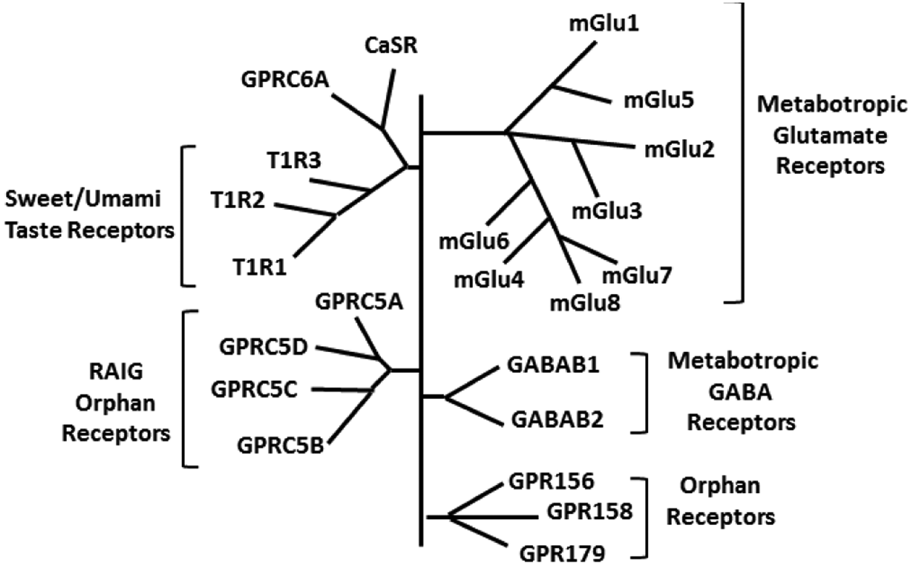 Figure 1: