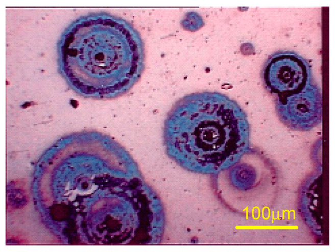 Figure 11