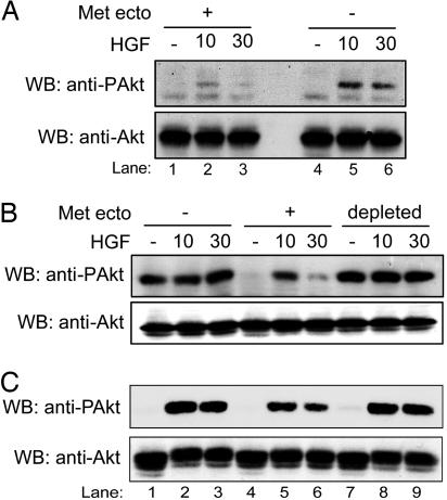 Fig. 9.