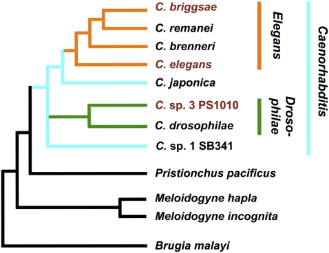 Figure 1.