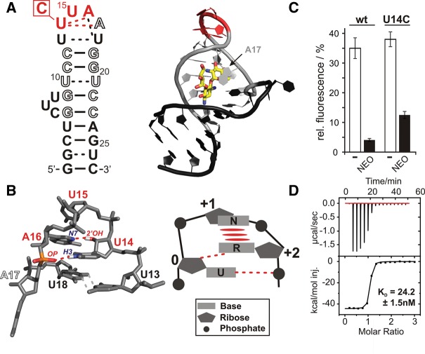 FIGURE 1.