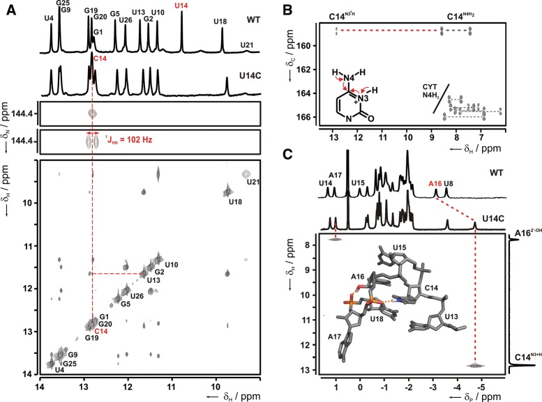 FIGURE 2.