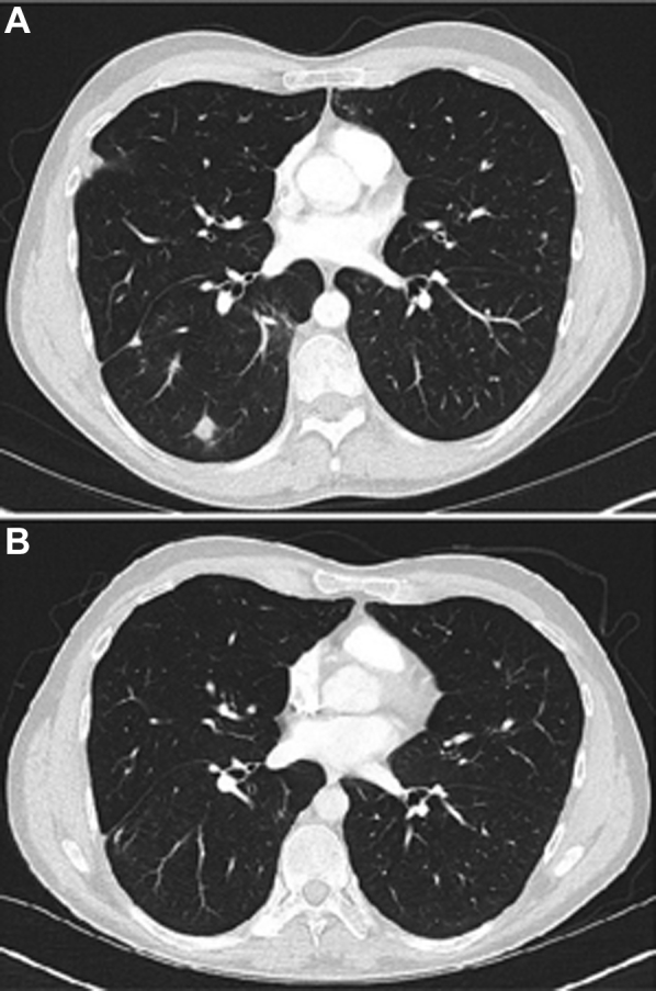 Figure 1