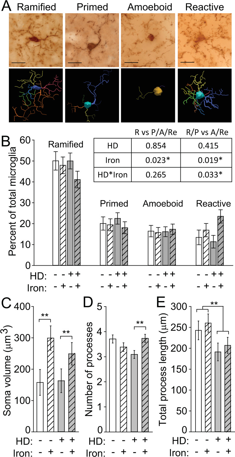 Fig 4