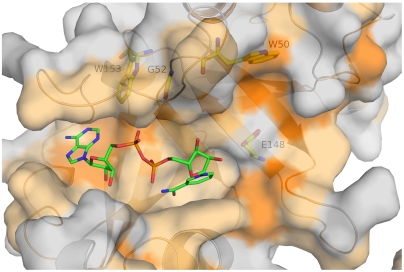 Fig. 6.