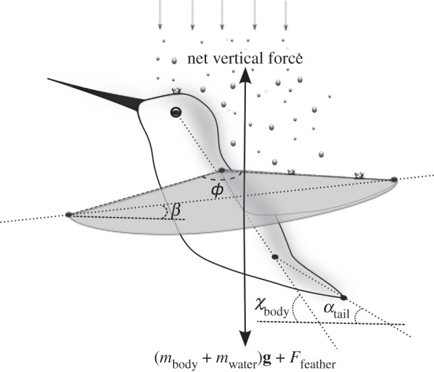 Figure 1.