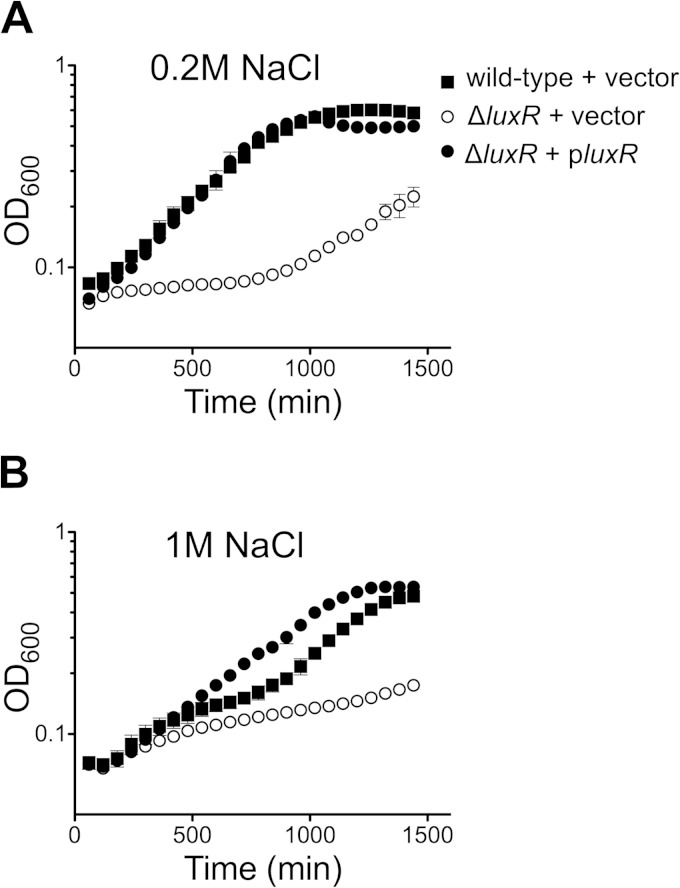 FIG 6