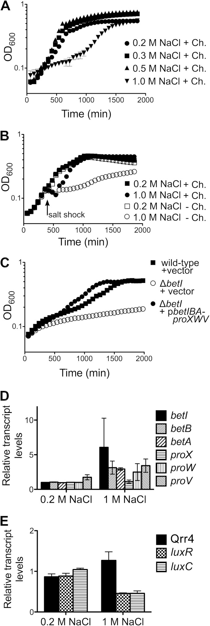 FIG 5