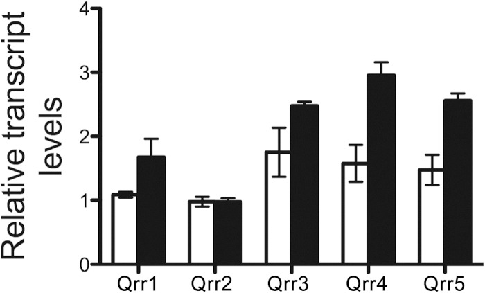 FIG 4